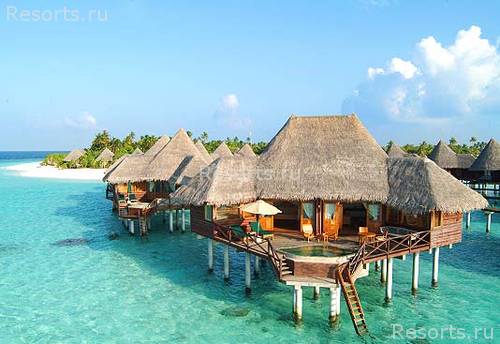 Coco Palm Resort & Spa 6